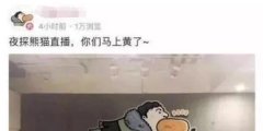 “王思聰”商標(biāo)被公然叫賣80萬！