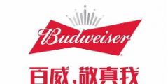 假冒 “百威”商標罐裝啤酒，廣西玉林興業(yè)縣法院審理首起侵犯知識產權罪案件