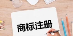 一個(gè)公司能注冊(cè)幾個(gè)商標(biāo)_公司商標(biāo)注冊(cè)？