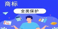 公司名稱和商標(biāo)的比較