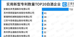 實用新型專利TOP20：古井貢酒一騎絕塵，有效實用新型專利722件