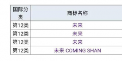 蔚來”為什么不用“未來”，商標是否被他人注冊