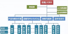 常見(jiàn)的組織架構(gòu)類型有哪幾種(企業(yè)矩陣式組織結(jié)構(gòu)圖)