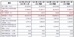 2023年北京怎么注冊(cè)內(nèi)資股份公司（）