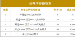 年利潤(rùn)100萬要交多少稅(100萬交多少企業(yè)所得稅)