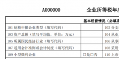 所得稅年度納稅申報(bào)表怎么填(填寫(xiě)年度所得稅匯算清繳表說(shuō)明)