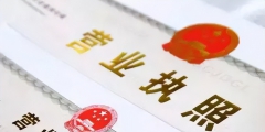 申請(qǐng)執(zhí)照副本數(shù)量怎么填寫(公司登記備案申請(qǐng)書模板)