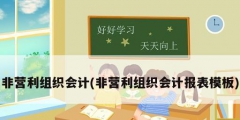 非營利組織會計(非營利組織會計報表模板)