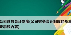 公司財(cái)務(wù)會計(jì)制度(公司財(cái)務(wù)會計(jì)制度的基本要求和內(nèi)容)