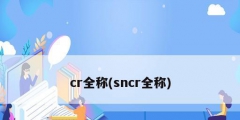 cr全稱(sncr全稱)