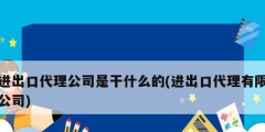 進(jìn)出口代理公司是干什么的(進(jìn)出口代理有限公司)