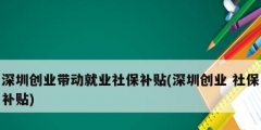 深圳創(chuàng)業(yè)帶動(dòng)就業(yè)社保補(bǔ)貼(深圳創(chuàng)業(yè) 社保補(bǔ)貼)