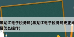 黑龍江電子稅務局(黑龍江電子稅務局更正申報怎么操作)