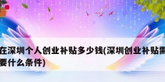 在深圳個人創(chuàng)業(yè)補貼多少錢(深圳創(chuàng)業(yè)補貼需要什么條件)